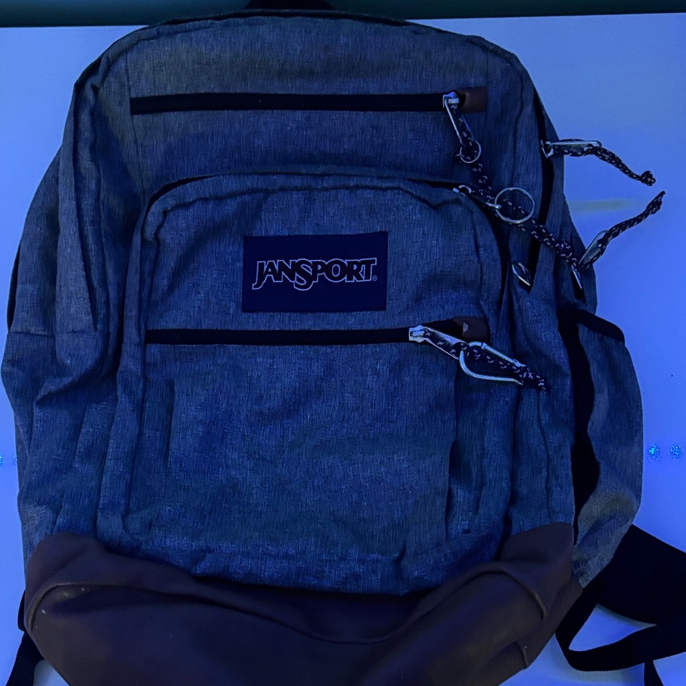 JanSport Gray and Brown Womens Backpack